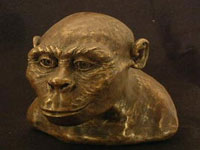 Austrolopithecus_africanus.jpg